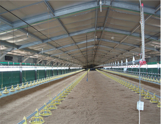 Astm A36 Galvanized Steel Structure Galvanised Steel H Beam Columns Poultry Farm Roof