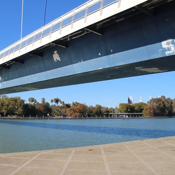 Customized Steel Plate Girder Bridges Single Cell Box Footbridge